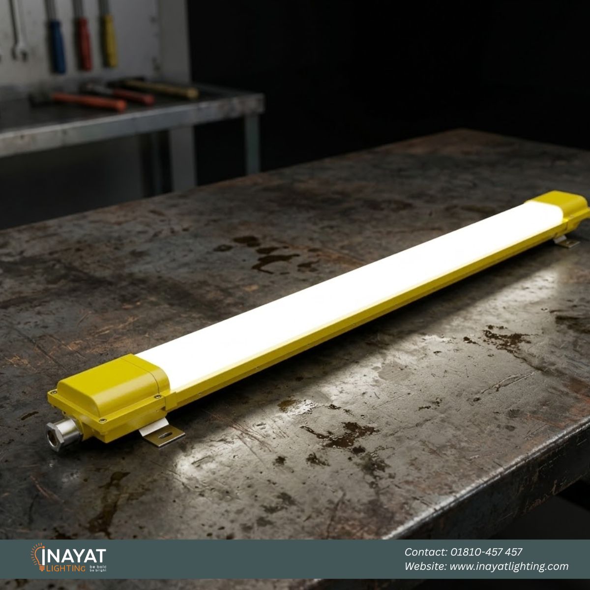 Explosion Proof Light EXL007